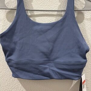 Nike Ribbed Sports Bra in Slate Blue
